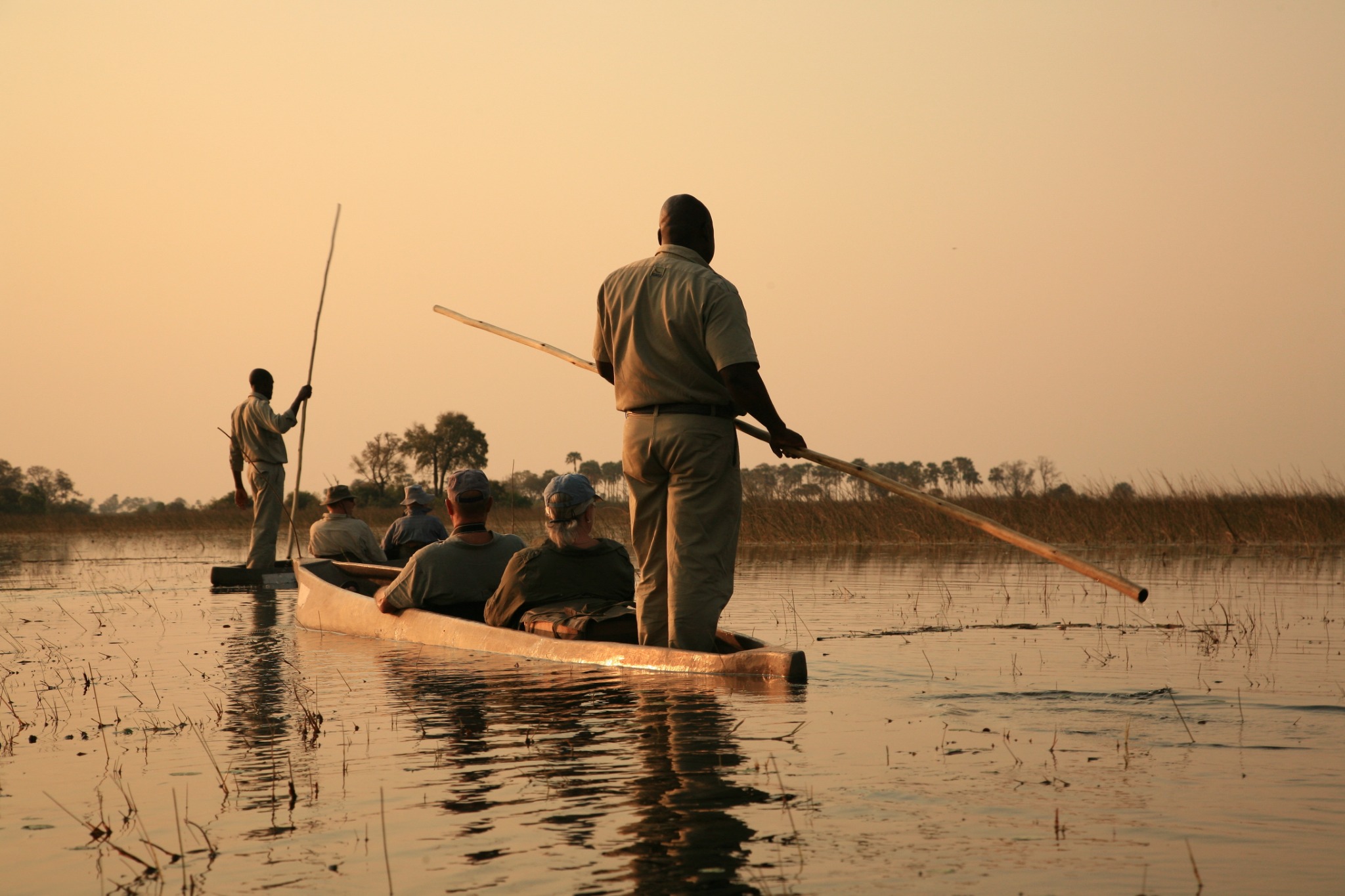 Navegación en mokoro por el delta del Okavango, Botsuana