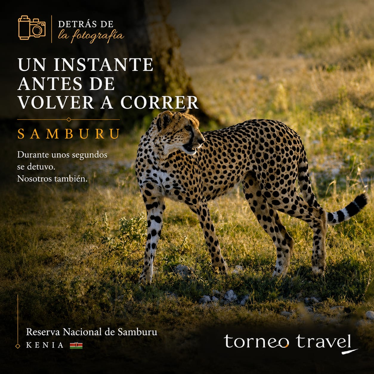 Fotografía propia de Torneo Travel tomada en Samburu, Kenia
