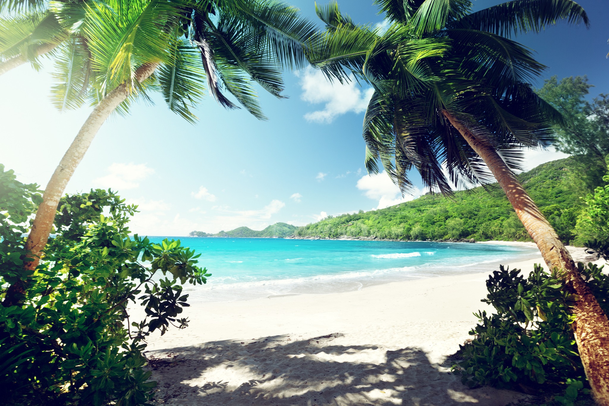 Playa de arena blanca, palmeras y agua turquesa en Seychelles
