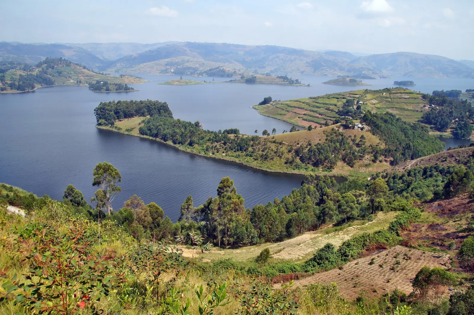 Lago de Uganda con islas verdes, orillas arboladas y colinas cultivadas